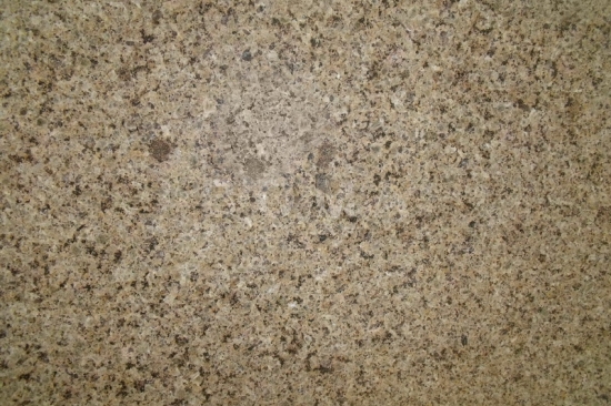 The photo of this product.