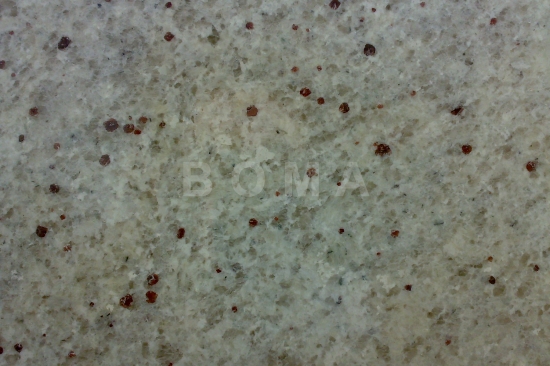 The photo of this product.